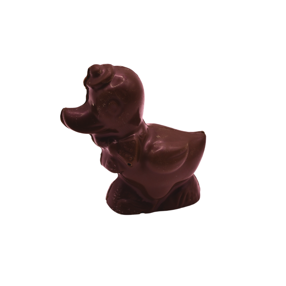 paques chocolat noir praline canard